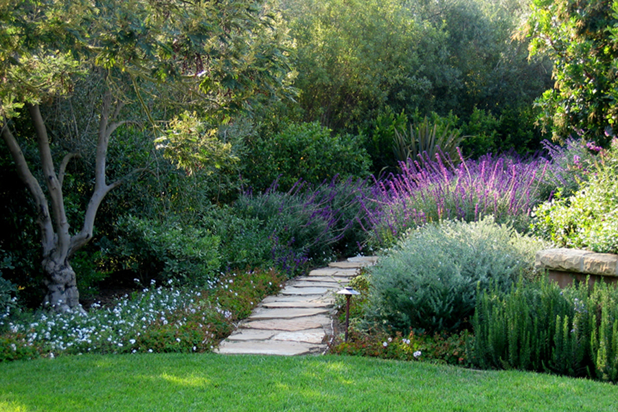 Beautiful garden in Montecito